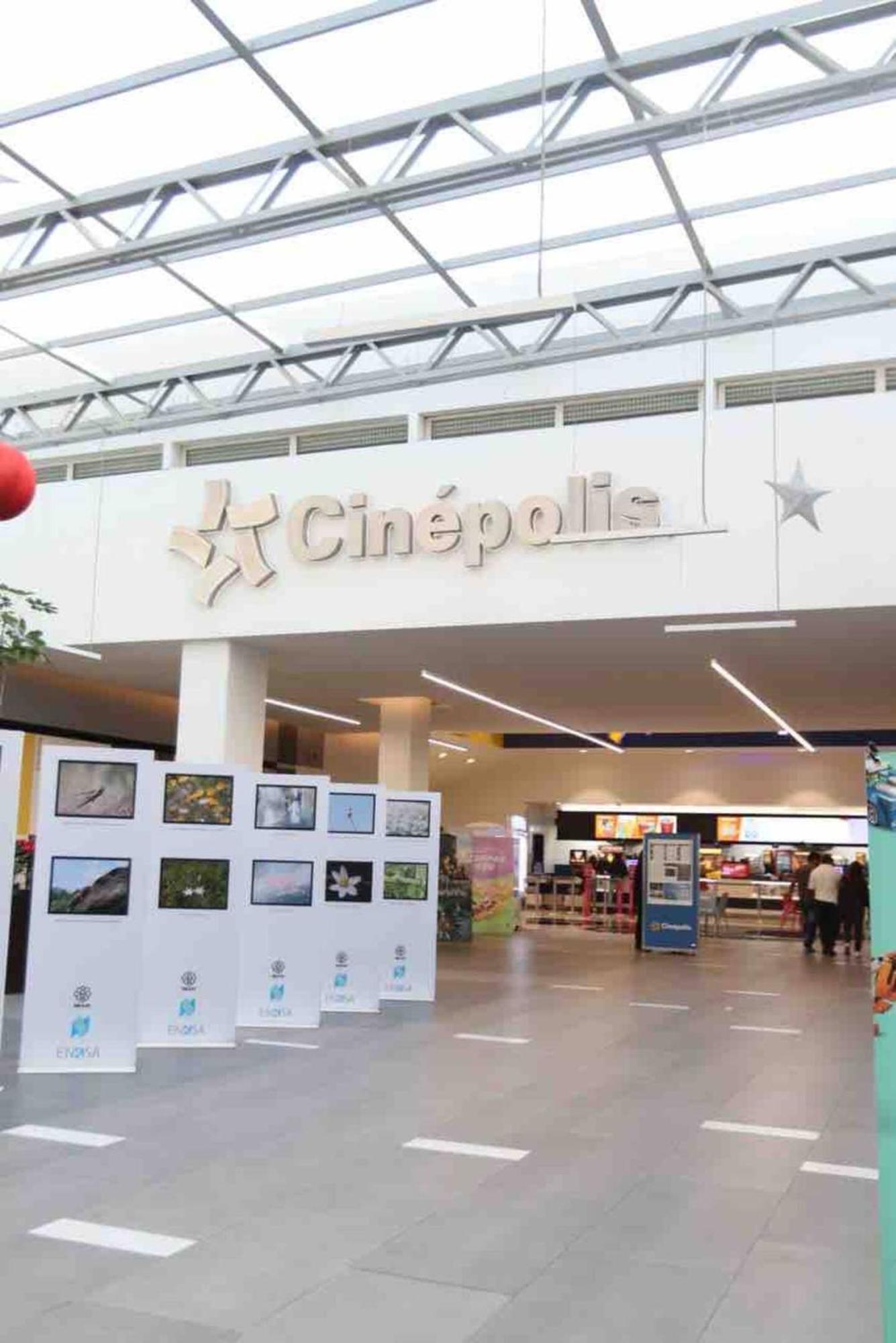Entire Luxurious Apartment In Shopping Mall Meksyk Zewnętrze zdjęcie